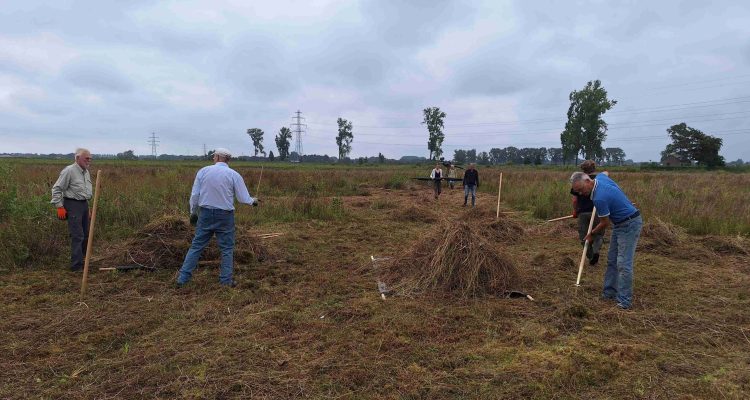 Hooiers in actie © Willem Heemskerk