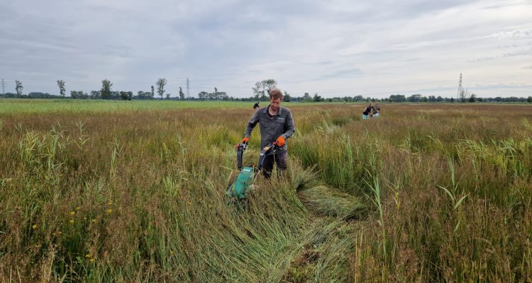 Kleinschalig maaien met eenasser