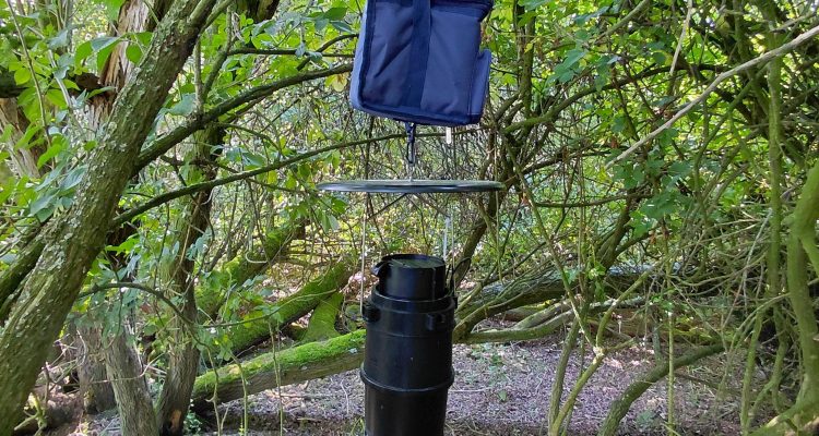 Muggenval ©Sil Schuuring