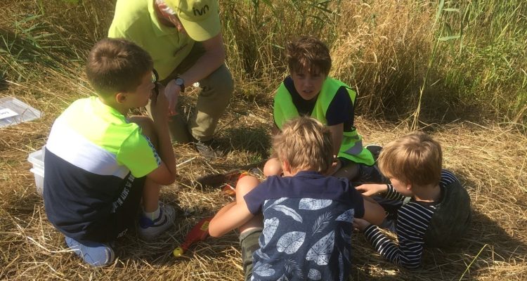 Schoolexcursies 5 ls