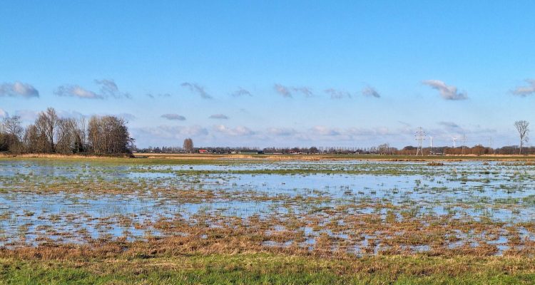 Water in de Veenkampen